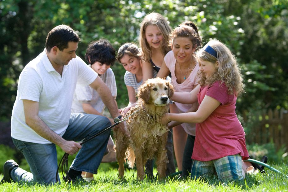 Mascota y familia